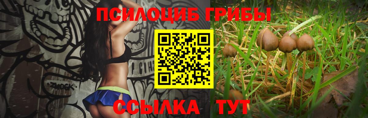 Галлюциногенные грибы Magic Shrooms  Галлюциногенные грибы ЛСД  Вход с VPN  Уфа 